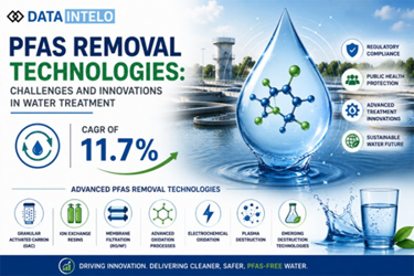 PFAS Removal PFAS Removal