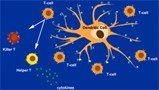 Northwest Biotherapeutics awards cancer target manufacturing contract to Protein Sciences Northwest Biotherapeutics awards cancer target manufacturing contract to Protein Sciences