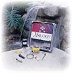 WEFTEC 2000: Wireless Internet Monitoring Solutions WEFTEC 2000: Wireless Internet Monitoring Solutions