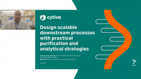 Design Scalable Downstream Processes With Practical Strategies