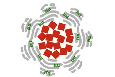 HMRI Iron Oxide Nanoparticles for Drug Delivery HMRI Iron Oxide Nanoparticles for Drug Delivery