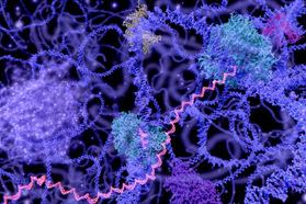 GettyImages-533937117-mrna-chemicals