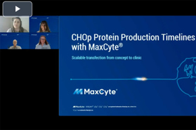 CHOp protein production