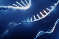 Elevating mRNA Manufacturing Toward GMP-Readiness mRNA GettyImages-1356994684
