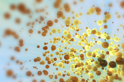 Bubbles-GettyImages-1028675986