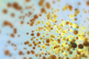 Bubbles-GettyImages-1028675986