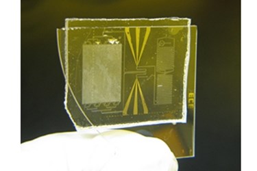 Bashir.biochip Bashir.biochip