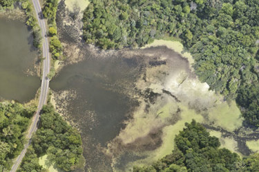 Kohtari say that using drones they can sample water quality at a speed that current methods simply cannot match_