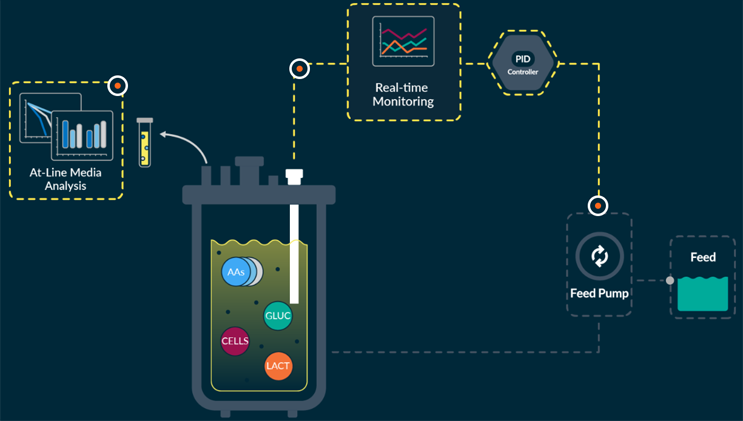 Robust Cell Robust Cell Therapy Manufacturing