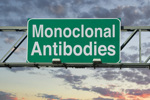Monoclonal antibodies GettyImages-1341967287