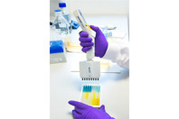 The In-Vitro MAT: Compendial Replacement For The Rabbit Pyrogen Test Performing_Step_2_ELISA_adding_stop_solution_with_color_change