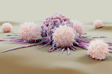 Natural Killer Cells Promise For Cancer Immunotherapy