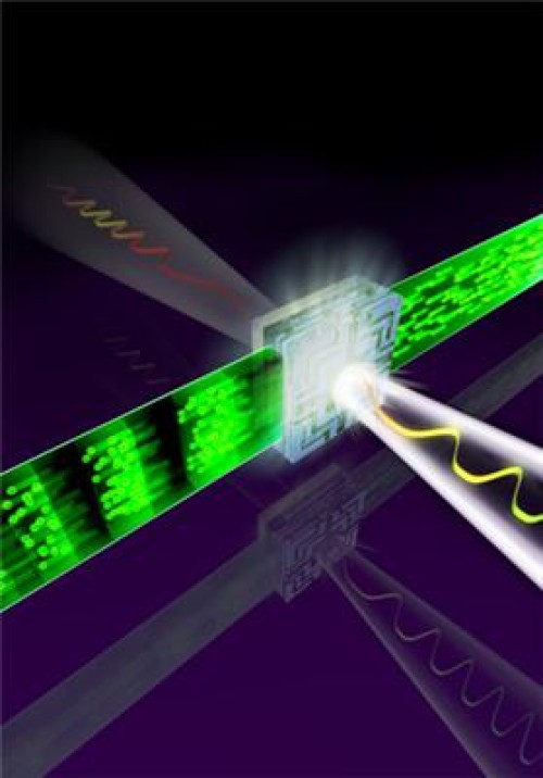 Signal Control With Light Frequencies