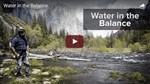 Water In Balance