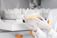 INFORS - scientists guide