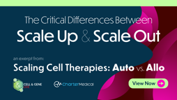 22_07_CGL_AutoAlloCT_Webinar_1920x1080_Seg01 22_07_CGL_AutoAlloCT_Webinar_1920x1080_Seg01