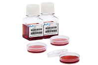 A Full Spectrum Of Compliant, Ready-To-Use Mycoplasma Media With An Extended Shelf Life milliporesigma mycoplasma familly