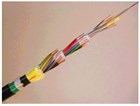 White Paper: Innovative cable design enables fiber-to-the-curb delivery