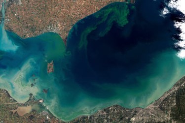 NASA_algae.jpg
