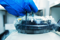 Stability And Storage Testing Sample Storage in test-tube laboratory-GettyImages-638504688