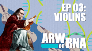 Violins Thumbnail