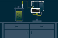 Maven image 1 (feature)