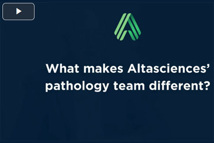 Preclinical Pathology Studies