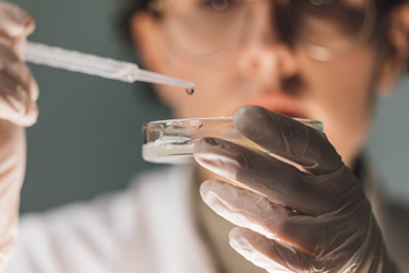 GettyImages-1259302414 lab, research, culture GettyImages-1259302414 lab, research, culture