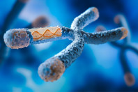 GettyImages-2178227801-x chromosome - dna strand