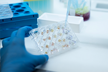 GettyImages-1500981700 cell culture