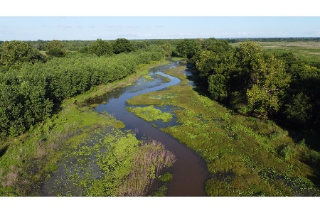 North Texas Municipal Water District Completes One Of Nation's Largest Environmental Restoration Projects, Creating A New Forest Of 6.3 Million Trees - Vimarsana News