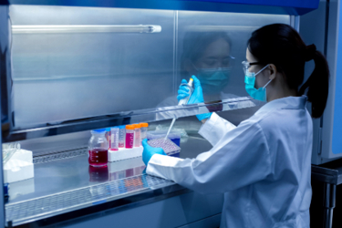 GettyImages-1493793527 lab, pipette, research