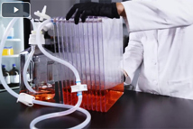 Nunc Standard Closed Cell Factory System