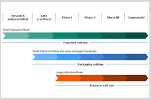 LSC-Cell-Line-Portfolio