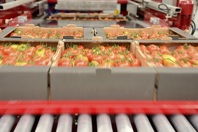 Don't Be The Weakest Link: Improving The Food Industry's Supply Chain Tomatoes On Line