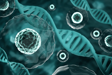 stem cells with dna structure-GettyImages-2190707383