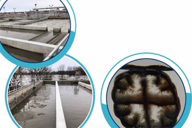 2020_City-of-Emporia,-KS-WWTP_IFAS-Case-Study-1 2020_City-of-Emporia,-KS-WWTP_IFAS-Case-Study-1