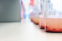 Wastewater sample in beakers-GettyImages-1281969728