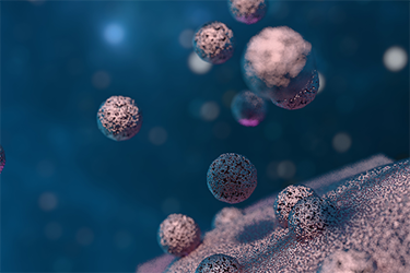 GettyImages-2205463975 EV