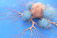 GettyImages-1383260152 NK cell