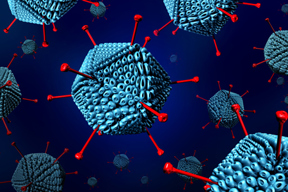 GettyImages-1061027852-adenovirus GettyImages-1061027852-adenovirus