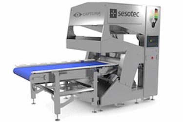 Food Sorting Systems For Vegetables: Captura Flow Food Sorting Systems For Vegetables: Captura Flow