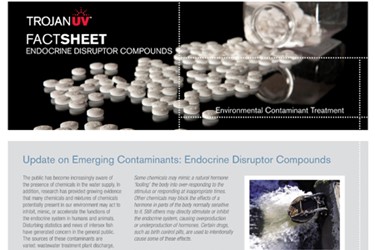 Endocrine Disruptor Compounds - Emerging Contaminants (Fact Sheet)