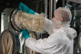 PMS Microbial Impactor In Use