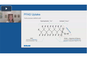 september2026-webinar