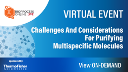 25_05_BPOL_1280x720_Vid