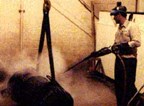Heat Exchanger Repair and Rebuild Services Heat Exchanger Repair and Rebuild Services