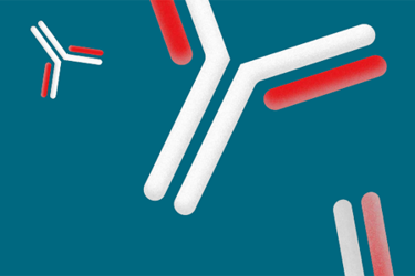 Thermo - mAb Thermo - mAb