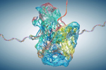 Ribosome as part of an biological cell constructing mRNA molecule-GettyImages-1352440312