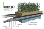 drain-tile-inspection